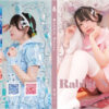 Thumbnail of related posts 066